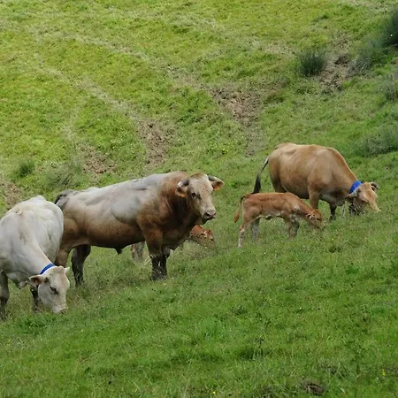 à La Ferme: Coig De Lamothe Casa de Férias *